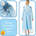 Disfraz de Elsa Frozen 2 Adulto Talla S