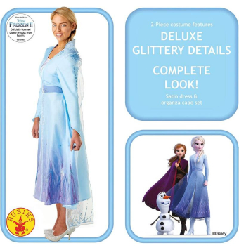 Disfraz de Elsa Frozen 2 Adulto Talla S