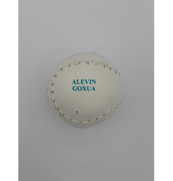 PELOTA MANO ALEVIN GOXUA...